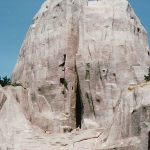Zoo de Vincennes 2002 - Bukharan Markhor on the Grand Rock