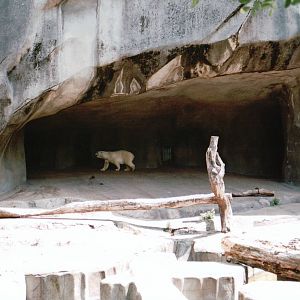 Zoo de Vincennes 2002 - Part of the Polar Bear exhibit
