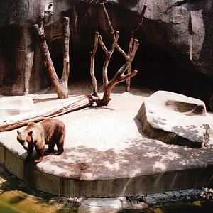 Zoo de Vincennes 2002 - Brown Bear exhibit