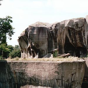 Zoo de Vincennes 2002 - Lion exhibit