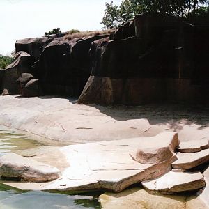 Zoo de Vincennes 2002 - Part of the South American Sea Lion exhibit