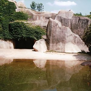 Zoo de Vincennes 2002 - Common Hippopotamus exhibit