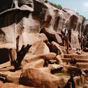 Zoo de Vincennes 2002 - Baboon exhibit