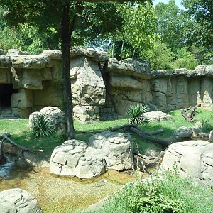 Mandrill Exhibit