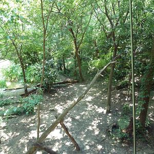 Sumatran Tiger Exhibit