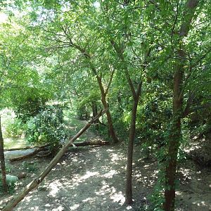 Sumatran Tiger Exhibit