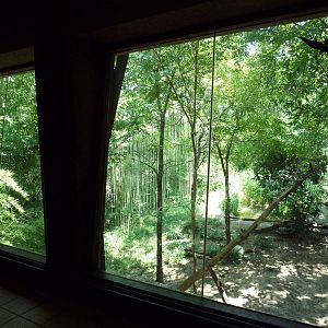 Sumatran Tiger Exhibit