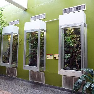 Reptile House - Chameleon Exhibits