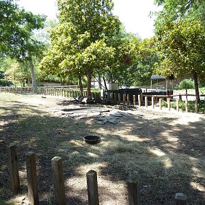 Galapagos Tortoise Exhibit