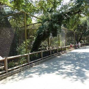 Wings Of Wonder Aviaries