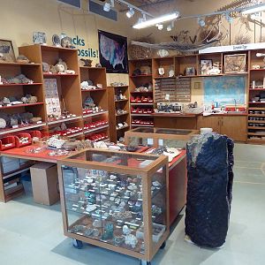 Children's Zoo - Nature Exchange