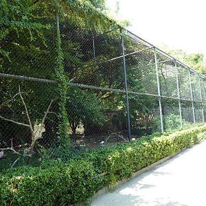 Mixed-Species Aviary