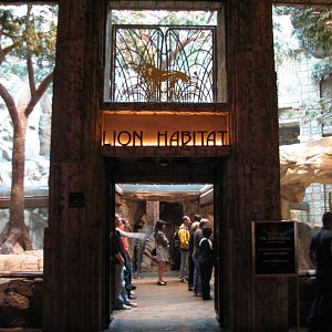 MGM Grand Lion Habitat - Viewing Tunnel Entrance