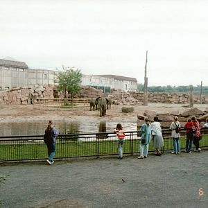 Berlin Tierpark 1995 - Front of the African Elephant exhibit