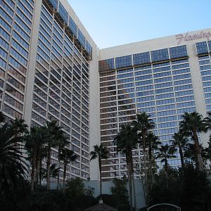 Wildlife Habitat at Flamingo Las Vegas - Courtyard Enclosure