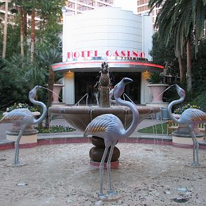 Wildlife Habitat at Flamingo Las Vegas - Flamingo Fountain in Free-roaming