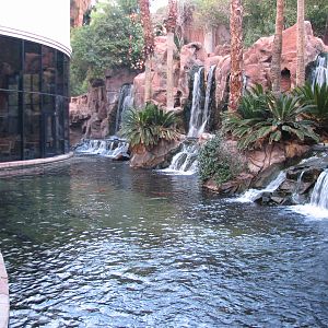 Wildlife Habitat at Flamingo Las Vegas - Paradise Falls Exhibit
