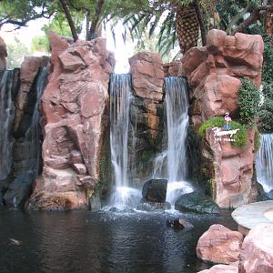 Wildlife Habitat at Flamingo Las Vegas - Paradise Falls Exhibit