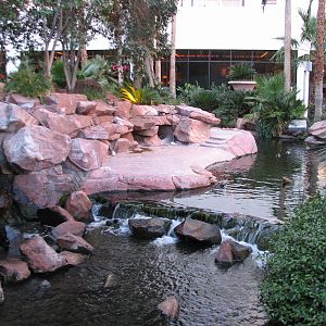 Wildlife Habitat at Flamingo Las Vegas - Former Penguin Exhibit