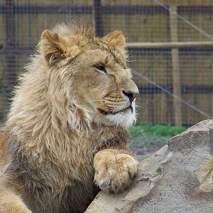 doncaster 5 282 julie