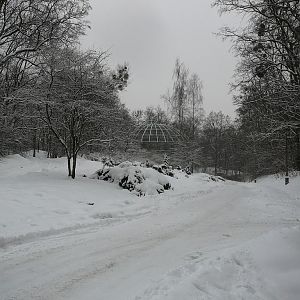 Winter in Poznan Zoo.