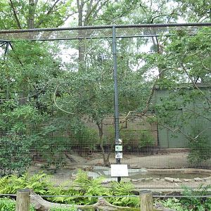 Mixed-Species Exhibit