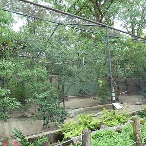 Mixed-Species Exhibit