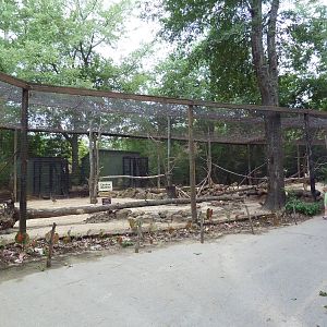 Mixed-Species Exhibit