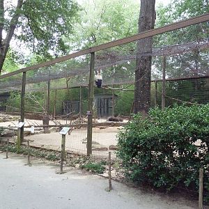 Mixed-Species Exhibit