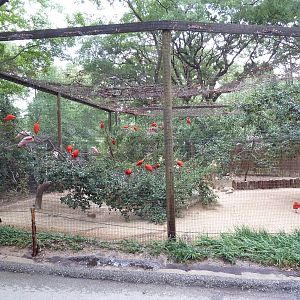 Mixed-Species Aviary (Wading Birds)