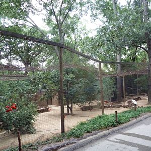 Mixed-Species Aviary (Wading Birds)