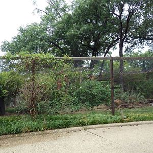 Mixed-Species Aviary
