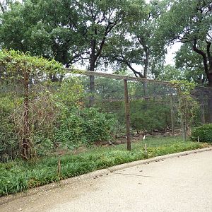 Mixed-Species Aviary