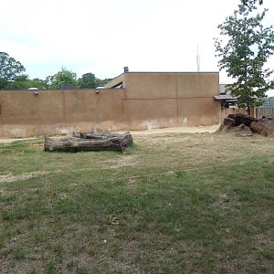 Black Rhino Exhibit