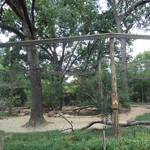 Mixed-Species Aviary