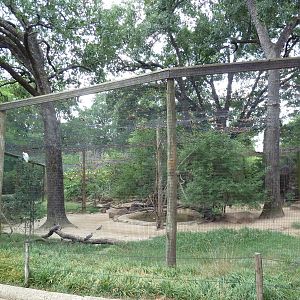 Mixed-Species Aviary