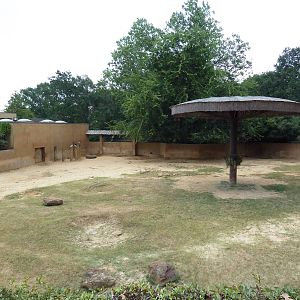 Black Rhino Exhibit