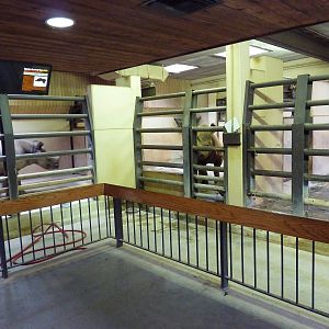 Black Rhino Holding Stalls