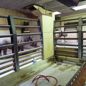 Black Rhino Holding Stalls