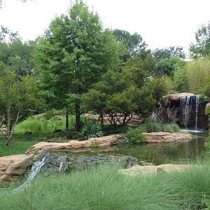 Ring-Tailed/Red Ruffed Lemur Exhibit