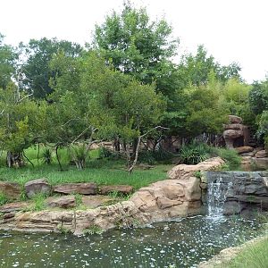 Ring-Tailed/Red Ruffed Lemur Exhibit