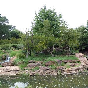 Ring-Tailed/Red Ruffed Lemur Exhibit