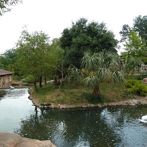 Squirrel Monkey Exhibit