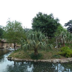 Squirrel Monkey Exhibit