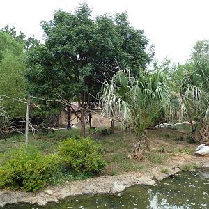 Squirrel Monkey Exhibit