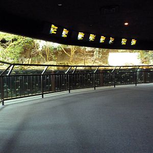 Mixed-Species Exhibit