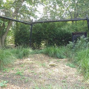 Attwater's Prairie Chicken Exhibit