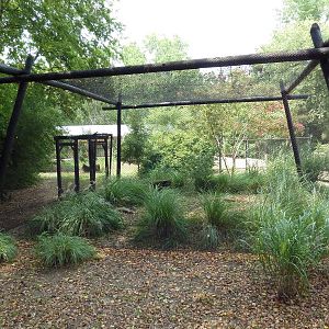 Attwater's Prairie Chicken Exhibit