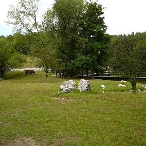 Exhibit of animals from South America.