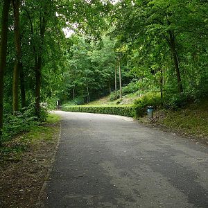 Exhibit of Japanese macaques